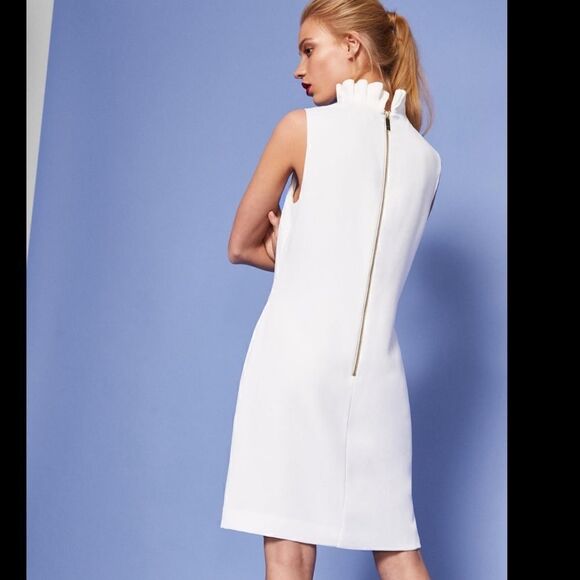 Ted Backer London Miyah Dramatic Ruffle Neck Dress - Picture 10 of 11